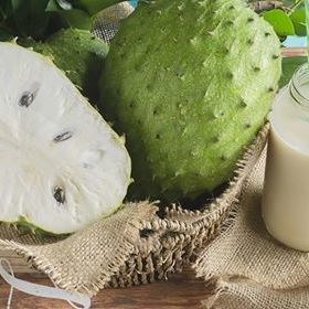 Le corossol (graviola) et un verre de jus de corossol