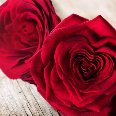2 roses rouges avec centre en forme de cœur